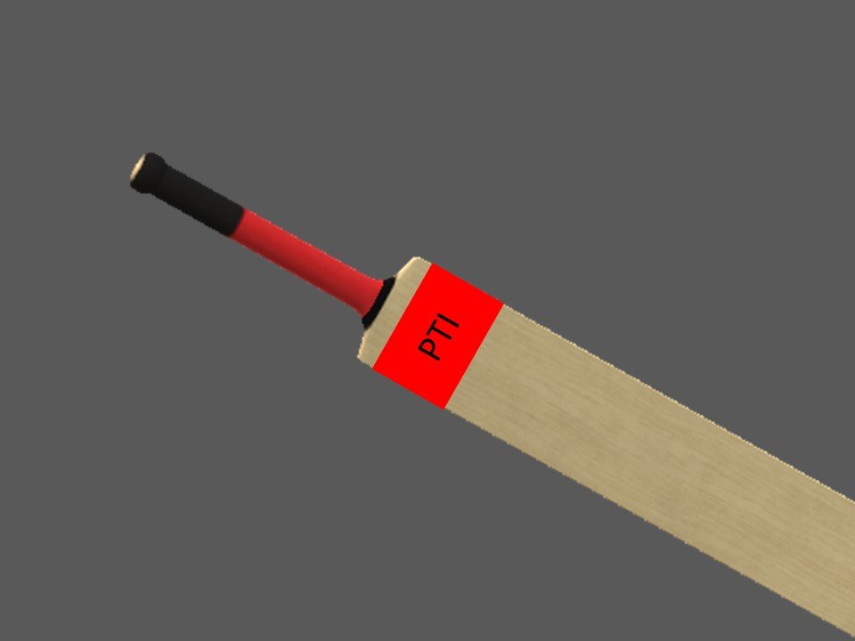 PTI Election Symbol Bat.